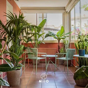 Miio 3* San Vincenzo